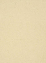 Capture Jacket - Cream